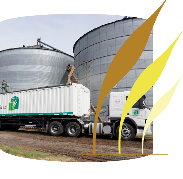 exportaciones